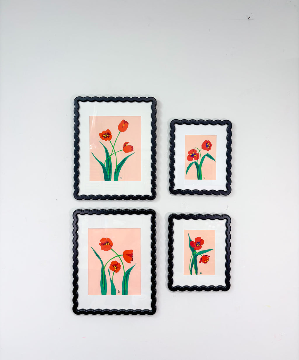 5x7 red tulip study 1