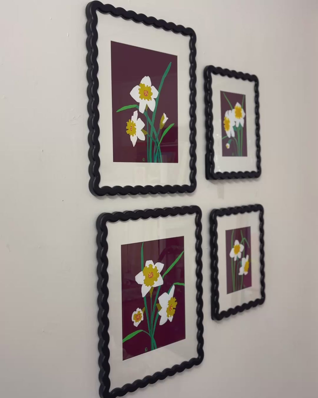 5x7 Daffodil Study 1